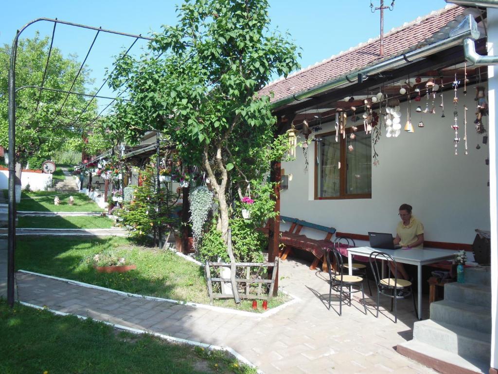 Отель Pension Bassen Базна Экстерьер фото